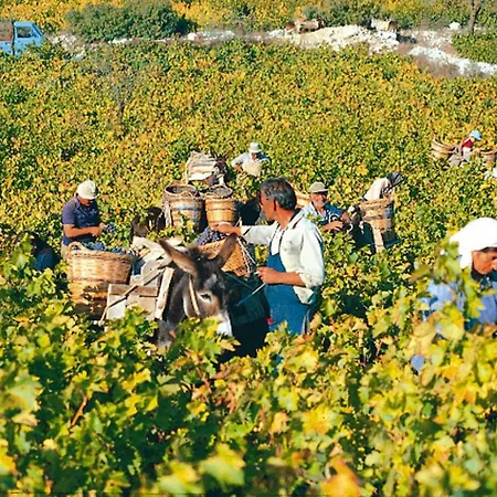 Cyprus Villages Und Umgebung - Lca01002-sya